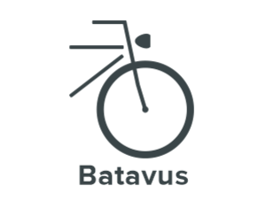 Batavus Elektrische fiets
