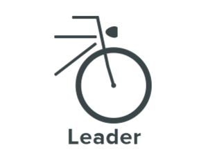 Leader Elektrische fiets