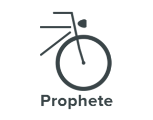 Prophete Elektrische fiets