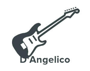 D'Angelico Elektrische gitaar