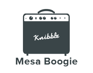 Mesa Boogie Gitaarversterker