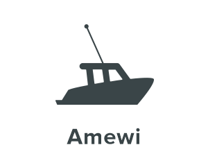 Amewi RC boot