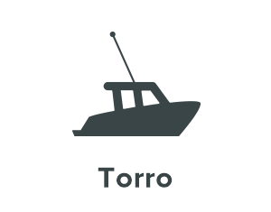 Torro RC boot