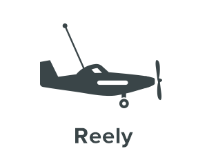 Reely RC vliegtuig