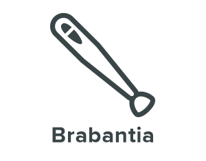 Brabantia Staafmixer
