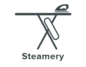 Steamery Strijkmachine