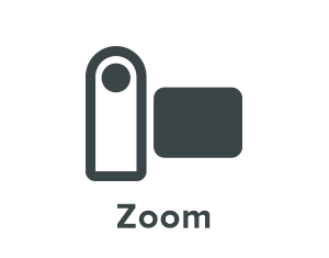 Zoom Videocamera