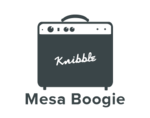 Mesa Boogie Basgitaarversterker kopen